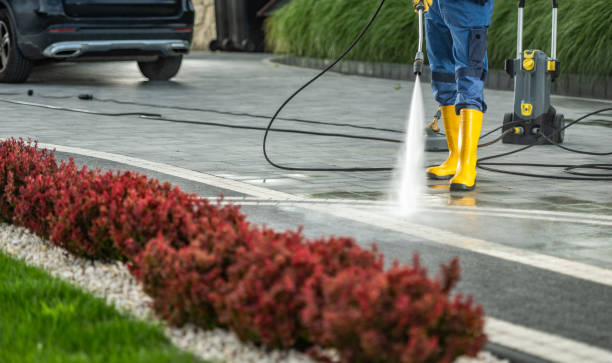 Best House Pressure Washing  in Laurel, VA